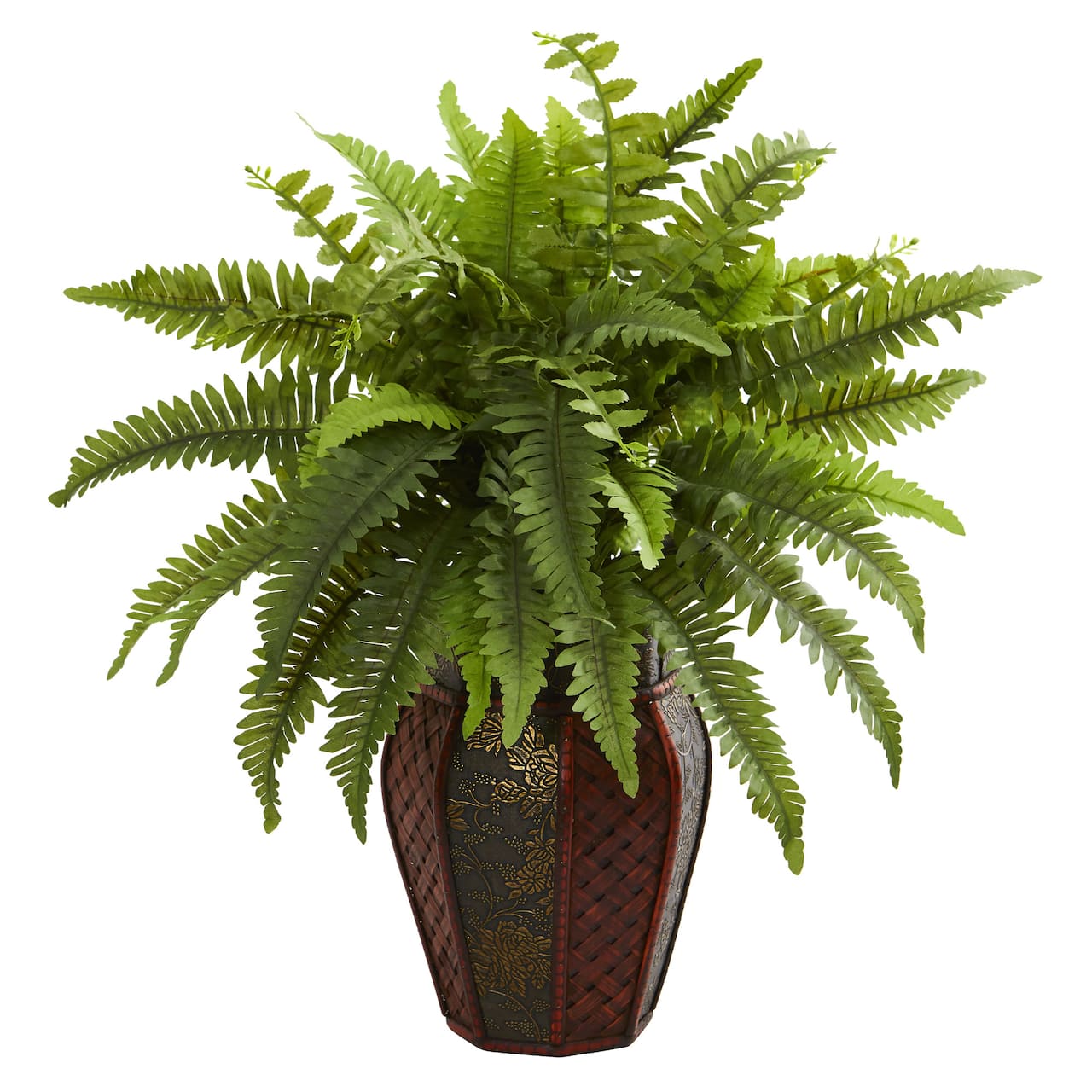 20" Boston Fern Plant in Decorative Planter